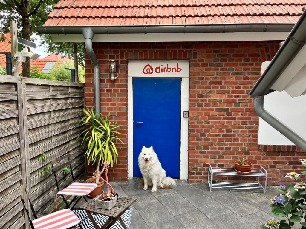 a white cat sitting in front of a blue door at Gemütliches Gästehaus mit kleiner Terasse in Schloß Holte-Stukenbrock