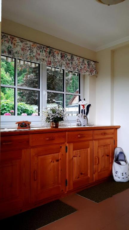 Köök või kööginurk majutusasutuses Ferienhaus Waldglück