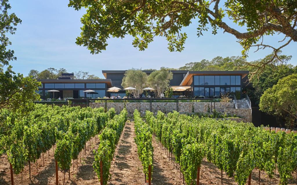 a view of a vineyard in front of a building at Montage Healdsburg in Healdsburg
