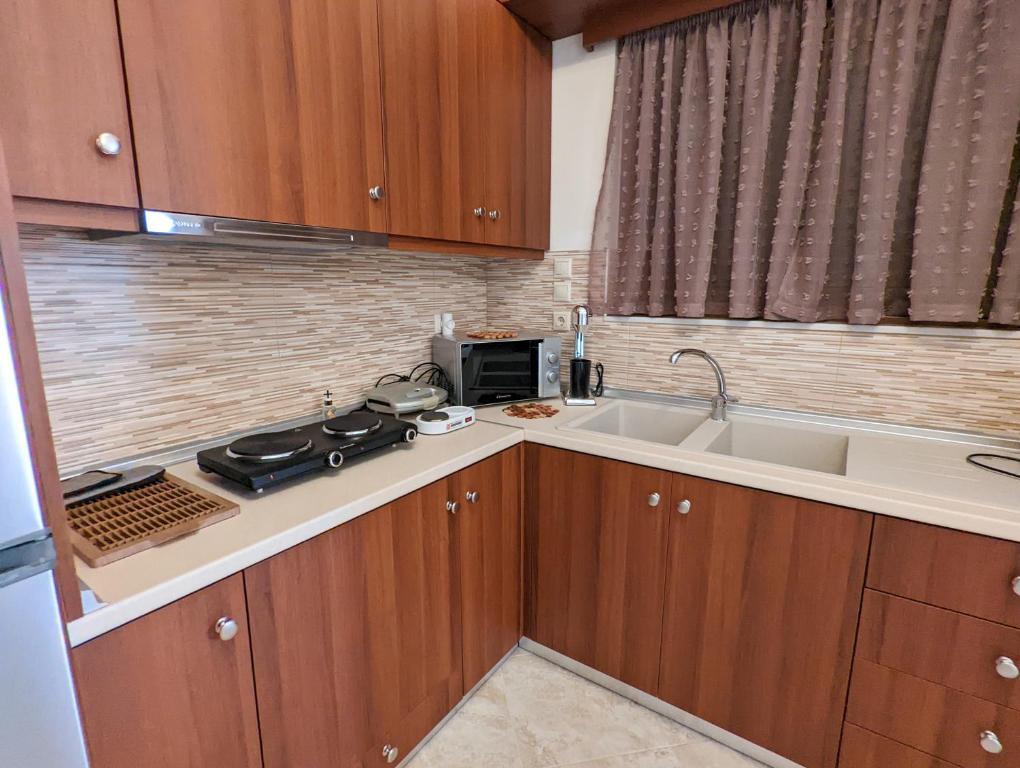 Kuchyň nebo kuchyňský kout v ubytování Tharenos home