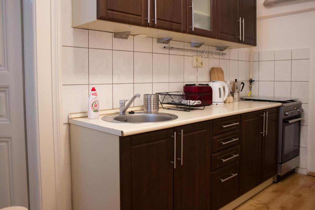 Kuchyňa alebo kuchynka v ubytovaní Charming residence in the heart of Budapest
