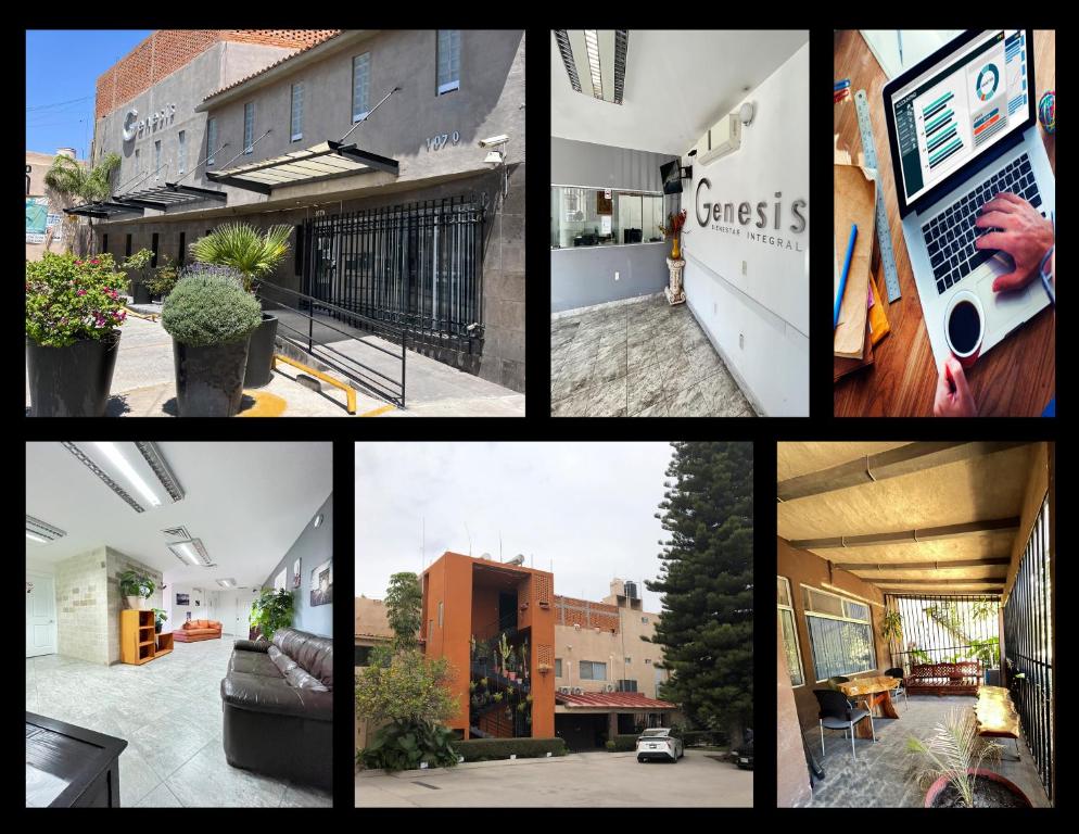 un collage d’images de maisons et de plantes dans l'établissement Genesis Suites / Lofts, à San Luis Potosí