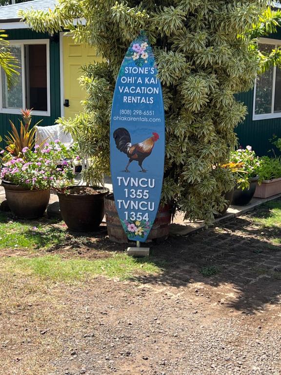 a surfboard is standing in front of a house at The Cottage at Ohia Kai. TVNCU#1354 in Kapaa