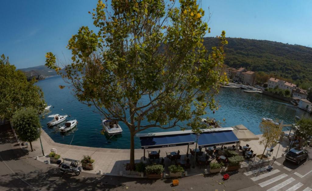 Príroda v okolí apartmánu