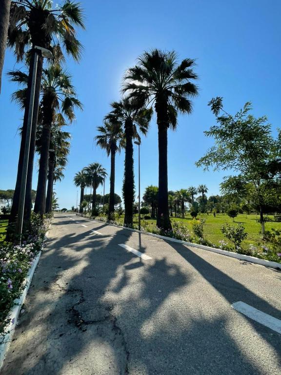 a road with palm trees on the side of it at Brand New Apartament Durres in Durrës
