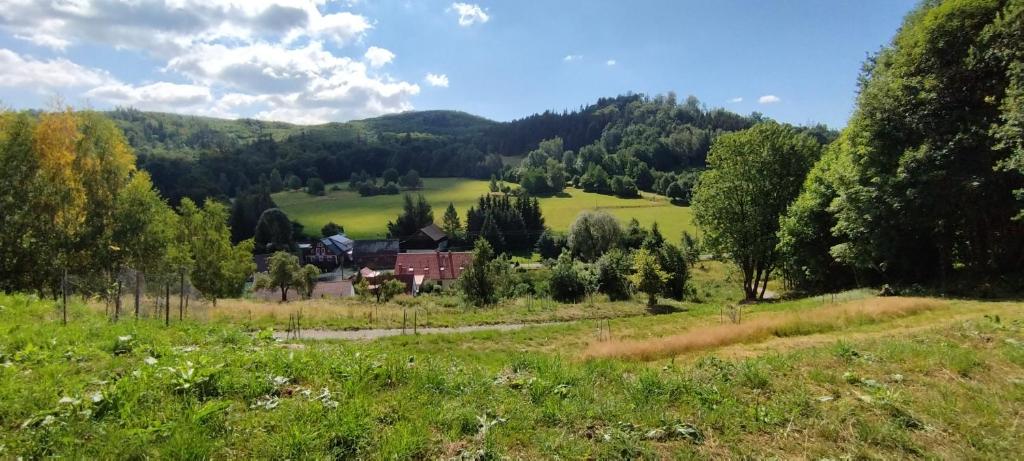 Príroda v okolí horskej chaty
