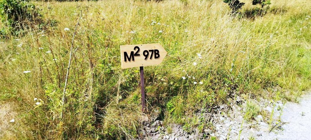 Príroda v okolí horskej chaty