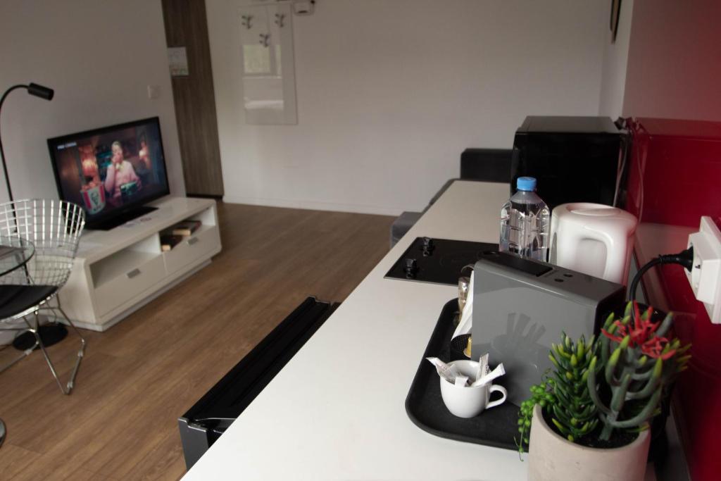 a living room with a tv and a table with plants at Iassium Residence Iasi in Iaşi