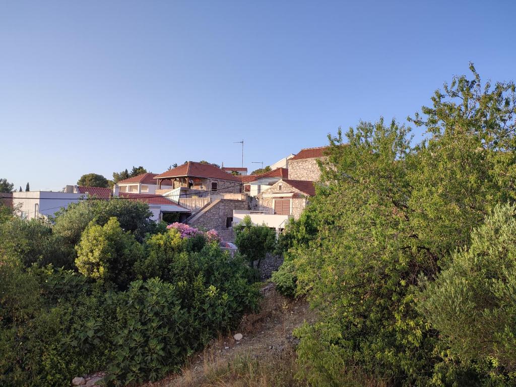 Príroda v okolí apartmánu