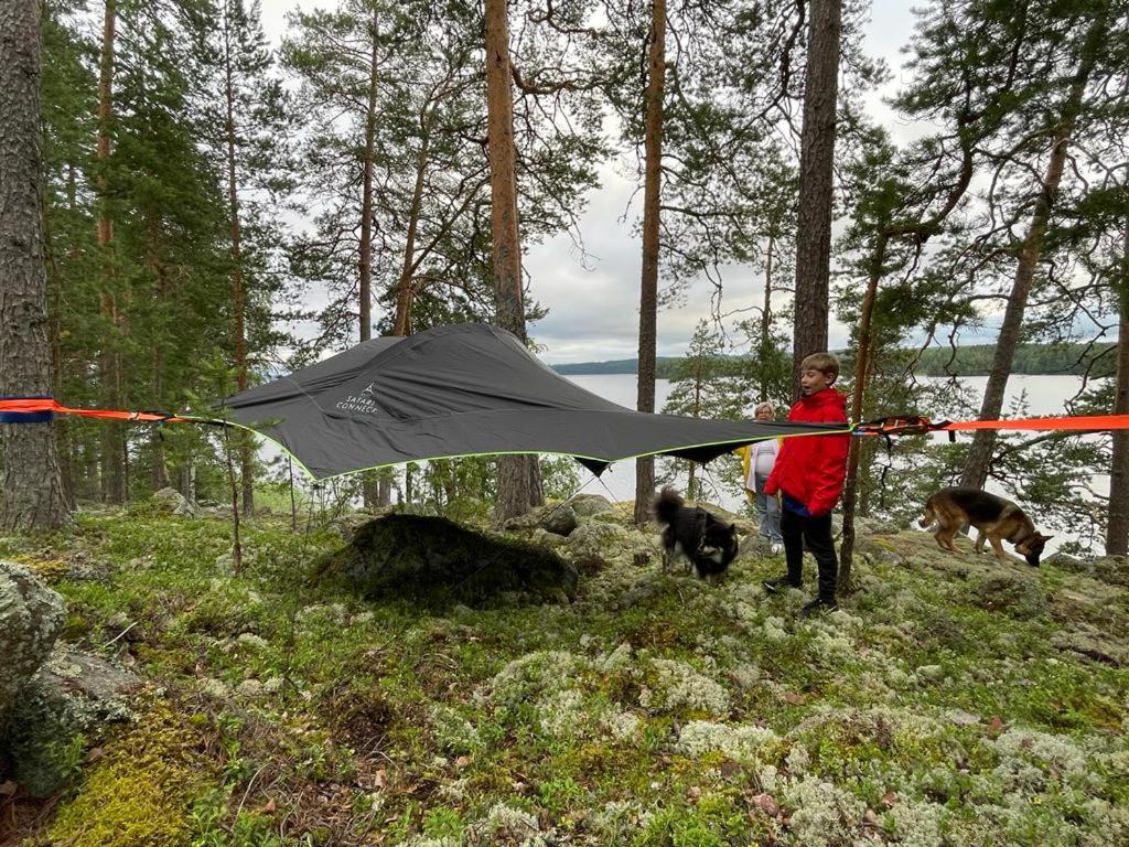 Un ragazzo con un aquilone nel bosco con due cani di Hideway Glamping Tree tent a Muurame