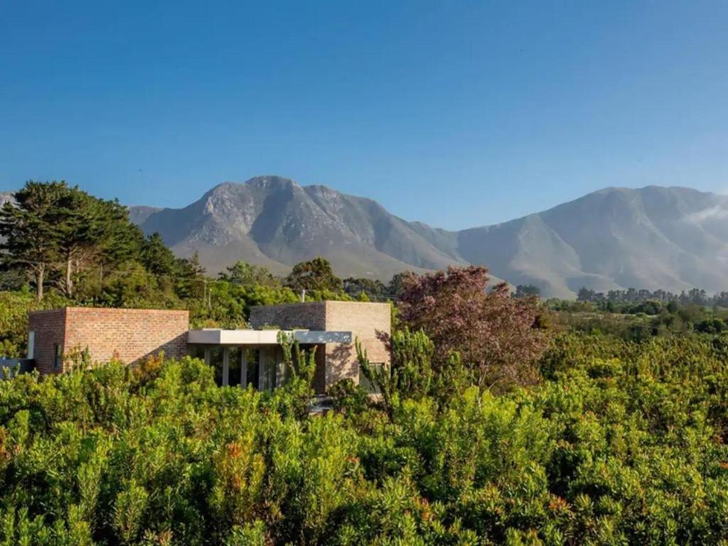 a house in the middle of a forest with mountains in the background at Stonehaven Eco Cabins in Hermanus