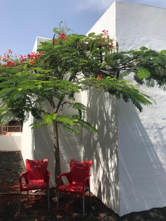 A garden outside Casa Dylan
