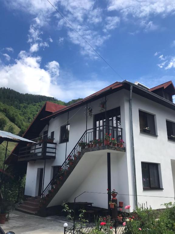 a white building with stairs and a balcony at Casa Elena in Voineşiţa