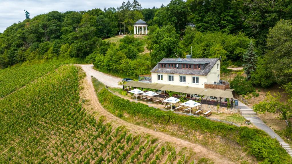 an aerial view of a house on a hill at das Rebenhaus in Rüdesheim am Rhein