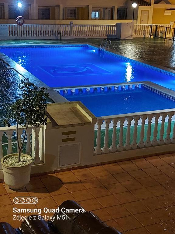 ein Schwimmbecken mit einem Baum in einem Topf daneben in der Unterkunft Apartamentos Boutique Mar De Cristal in Mar de Cristal