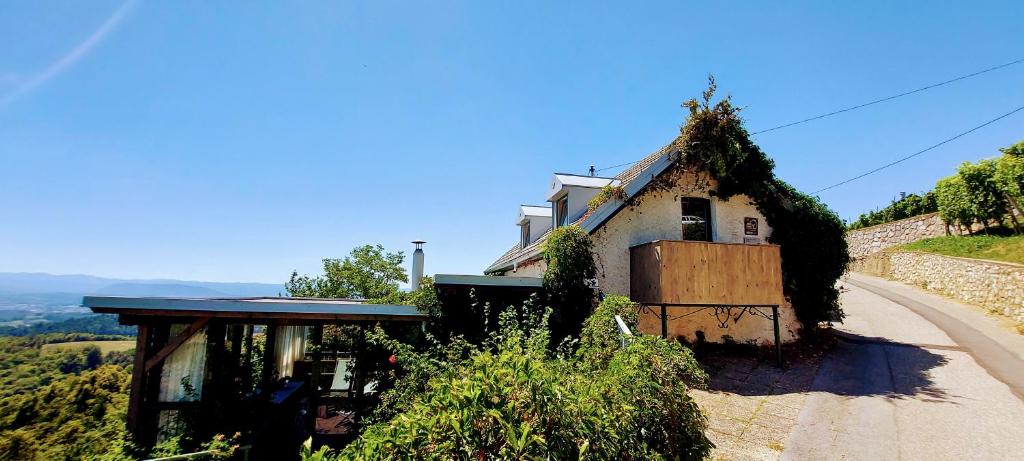 ein Haus auf einem Hügel mit einer unbefestigten Straße in der Unterkunft Vineyard Cottage Vercek in Novo Mesto