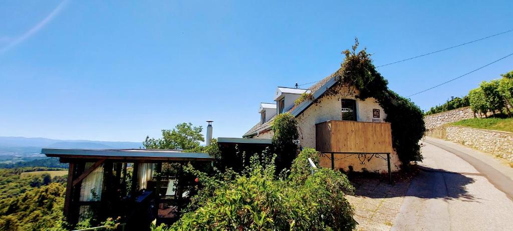 a house on a hill with a dirt road at Vineyard Cottage Vercek in Novo Mesto