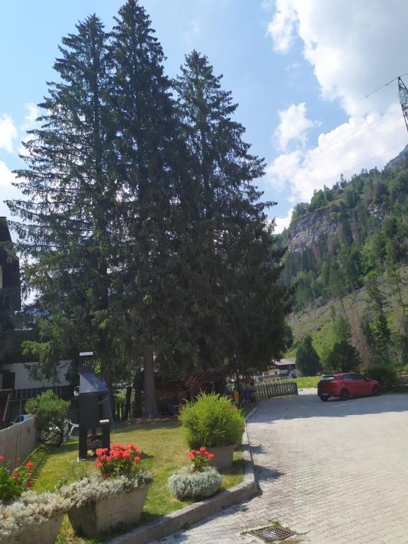 Příroda nedaleko apartmánu