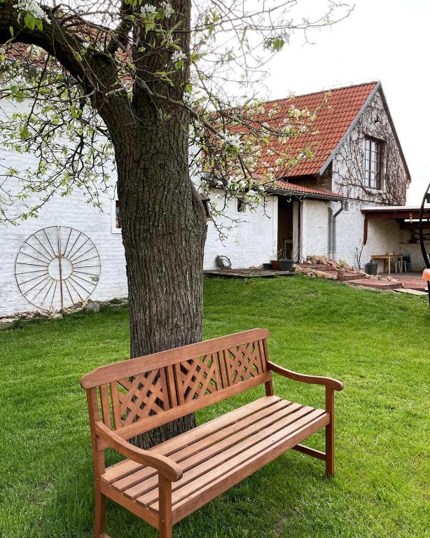 Ogród w obiekcie Statek Keblice