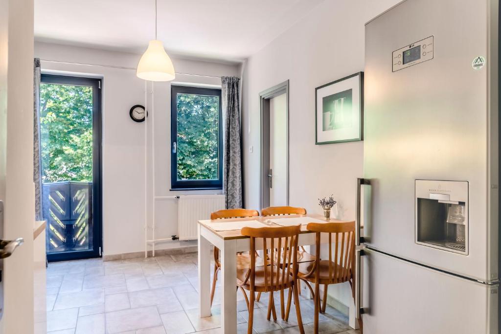 Kuchyňa alebo kuchynka v ubytovaní Balokány apartman