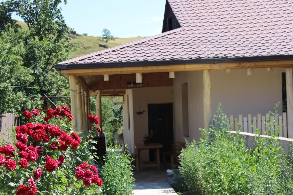 Villa Shamakhyan Dilijan - Hizvo