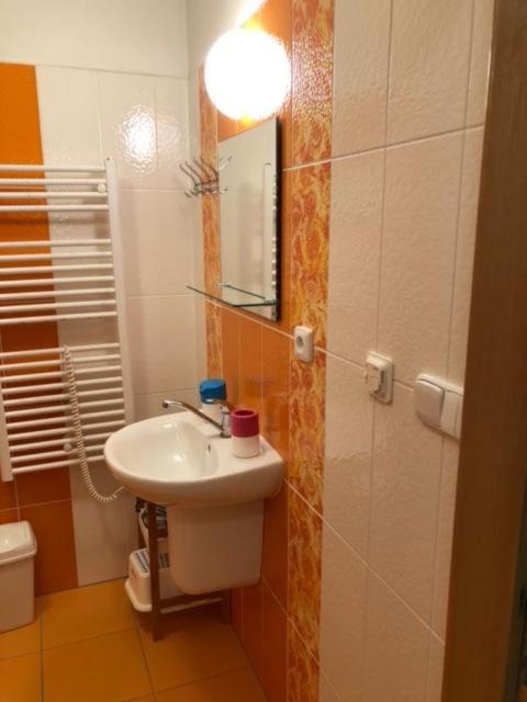 Koupelna v ubytování Apartmán 24 Lipno