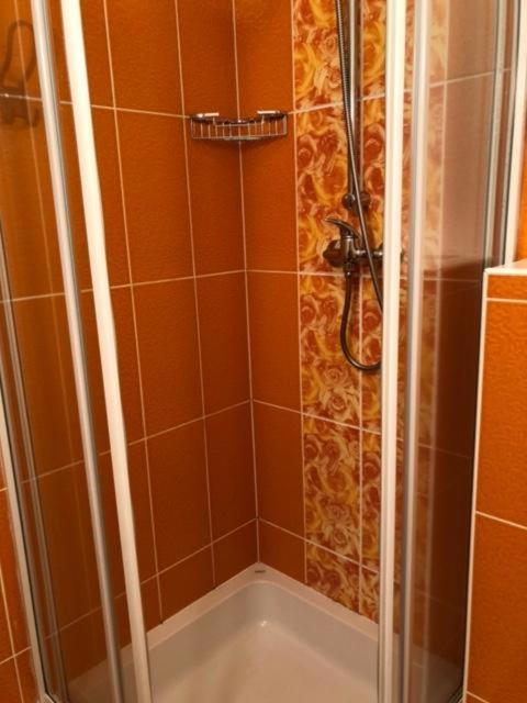 Koupelna v ubytování Apartmán 24 Lipno