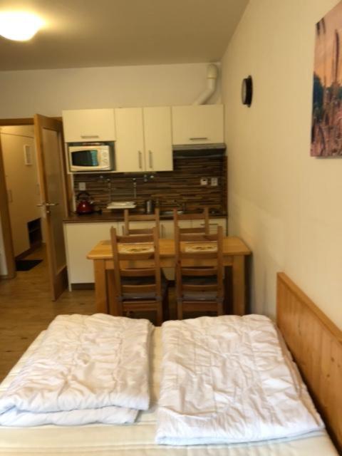 Kuchyň nebo kuchyňský kout v ubytování Apartmán 24 Lipno