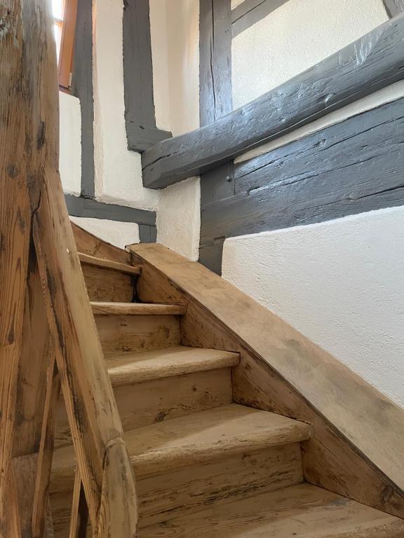 Gîte Elisa et léna – photo 12