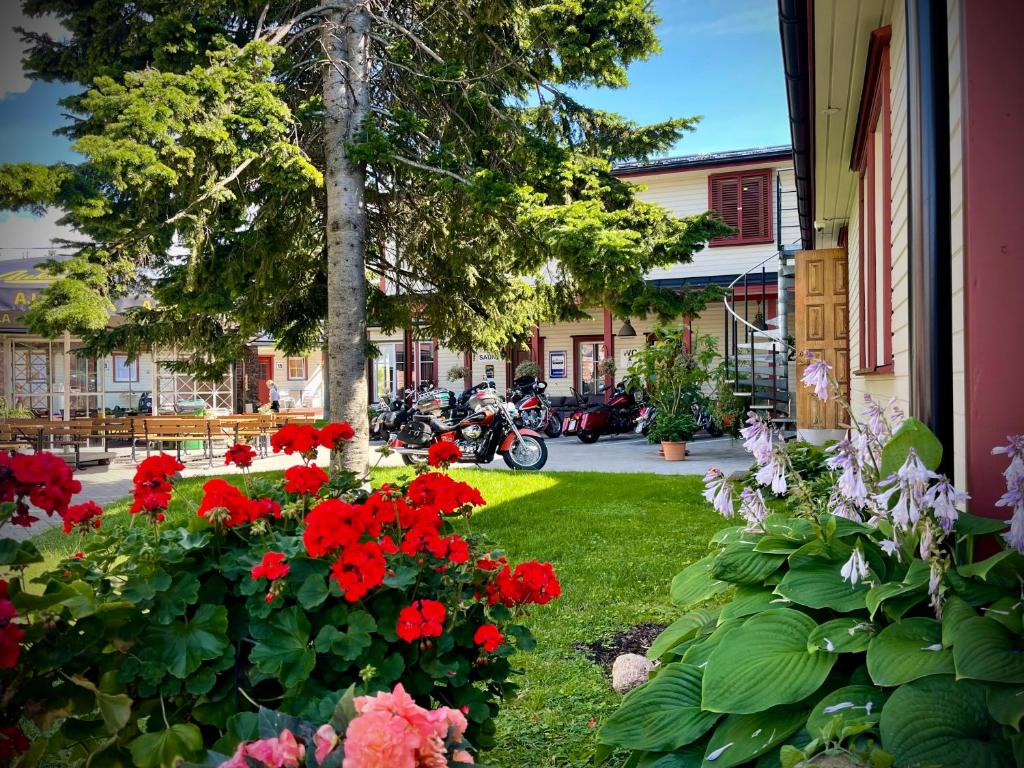 Aed väljaspool majutusasutust Aleksandri Guesthouse