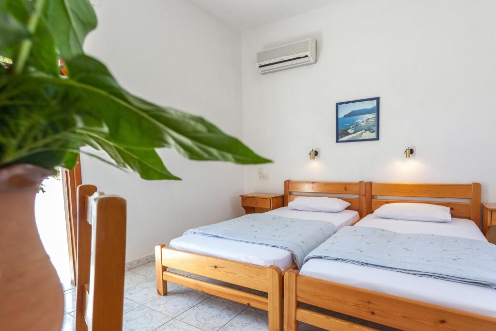 two beds in a room with a plant at Platanakia in Skopelos Town