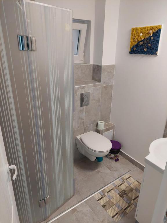 Koupelna v ubytování Casa AnaMaria
