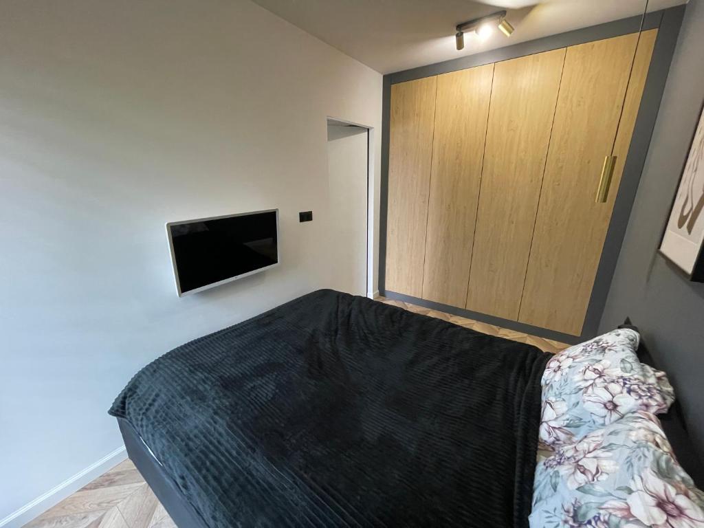 Televízia a/alebo spoločenská miestnosť v ubytovaní Apartament Bubble z darmowym parkingiem