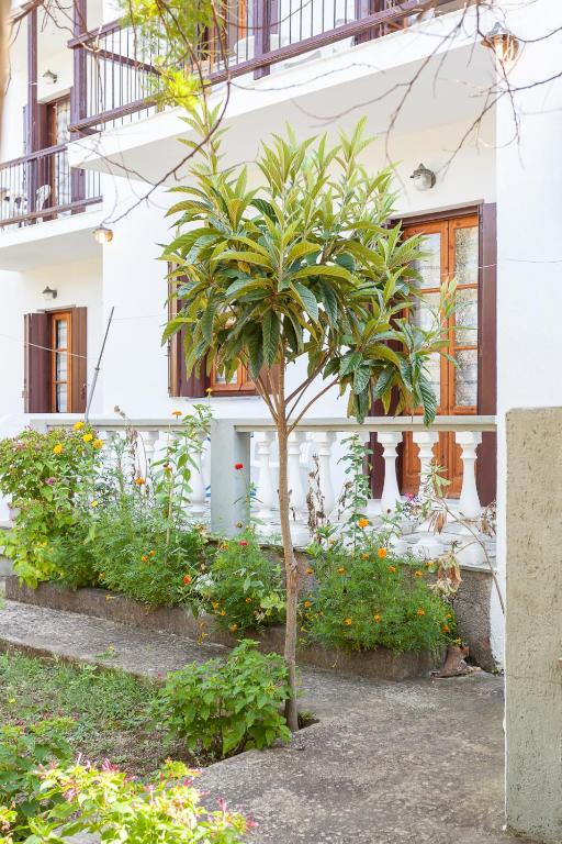a palm tree in front of a building at Platanakia in Skopelos Town