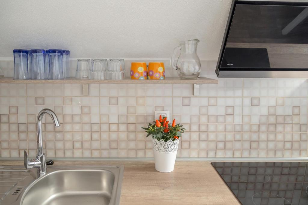 Kuchyň nebo kuchyňský kout v ubytování Apartments Fine Stay Slovenia
