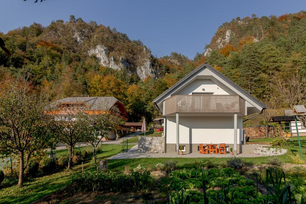 Příroda nedaleko apartmánu