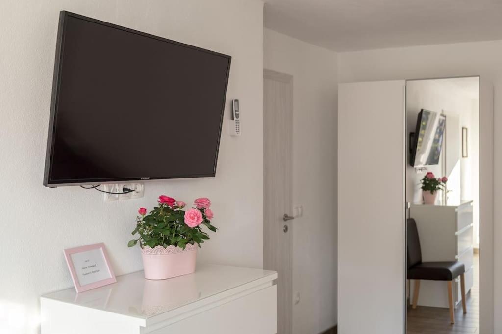 TV a/nebo společenská místnost v ubytování Apartments Fine Stay Slovenia