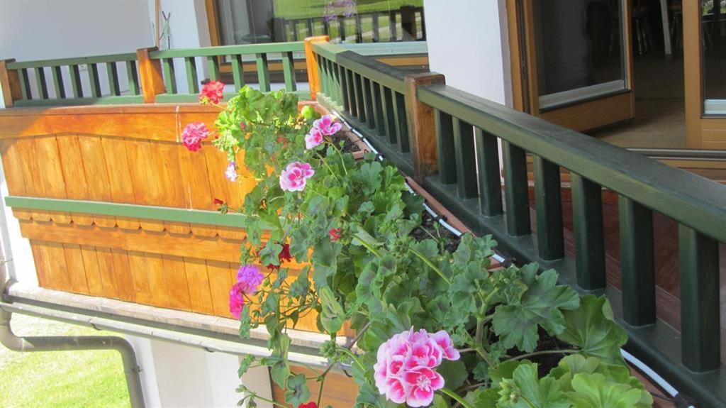 Zahrada ubytování Haus Hager
