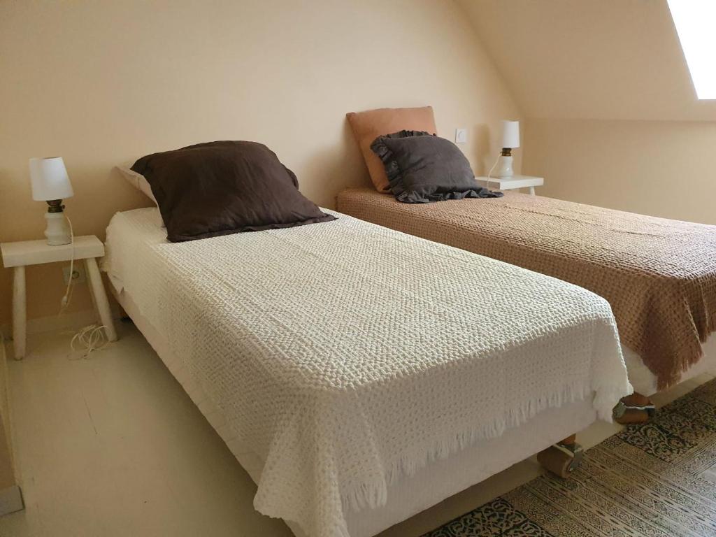 two beds sitting next to each other in a room at Les Pierres Lotoises - gîte les grandes pierres in Reilhaguet