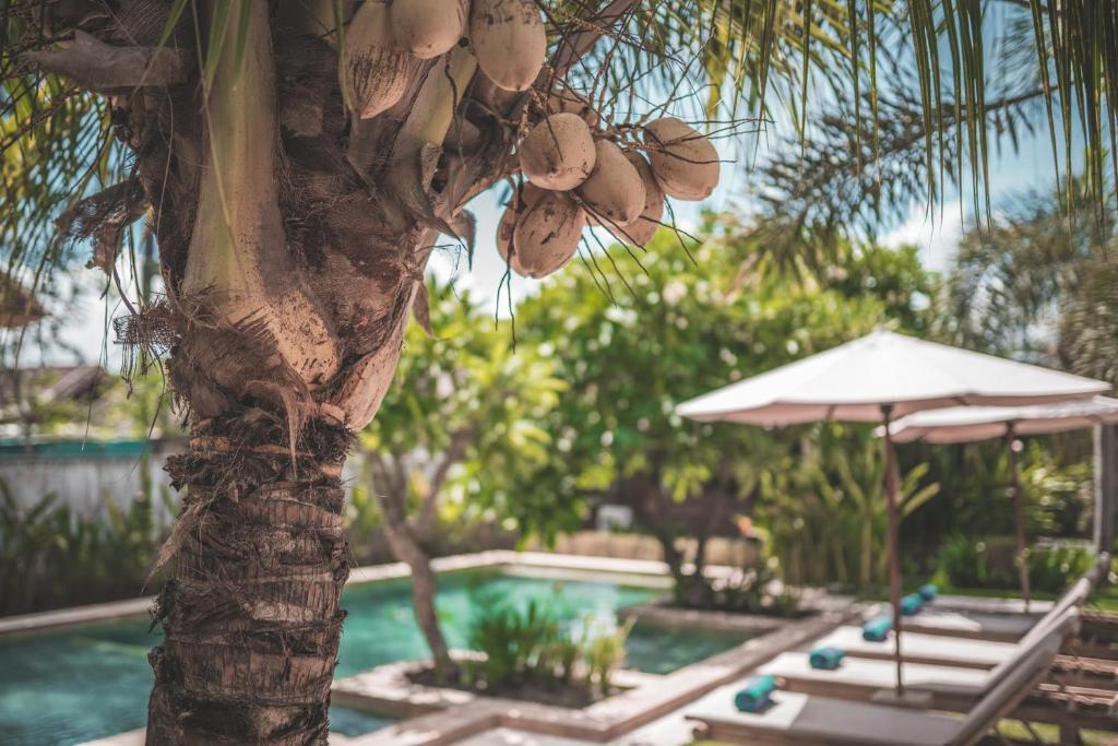 Piscina en o cerca de Guava Garden