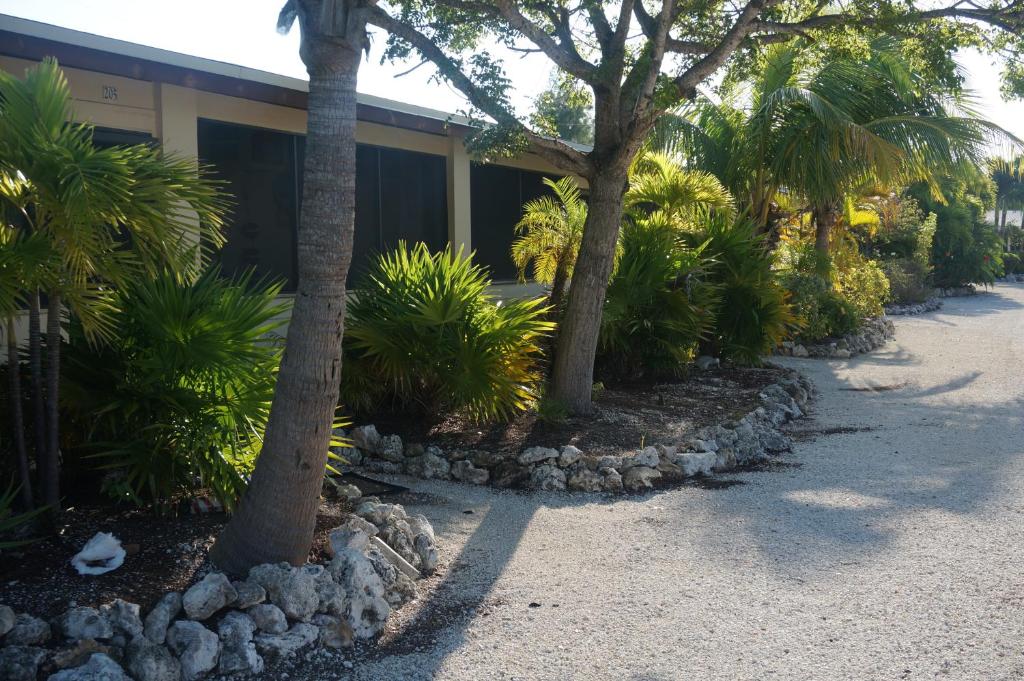 Zahrada ubytování Florida Keys