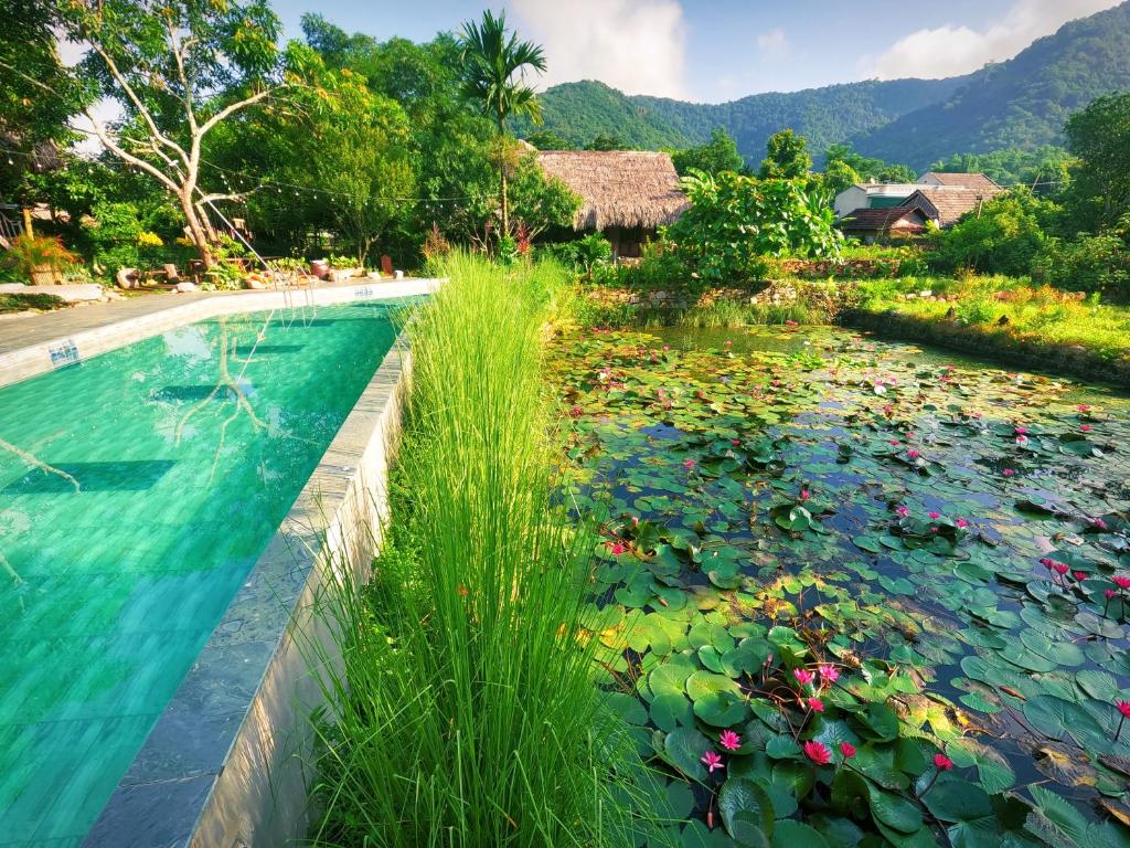 uma piscina com nenúfares e um resort em Mai Chau Valley Retreat em Mai Châu