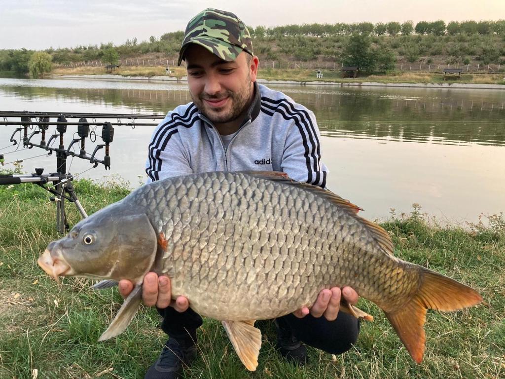 Zvířata v chaty nebo okolí