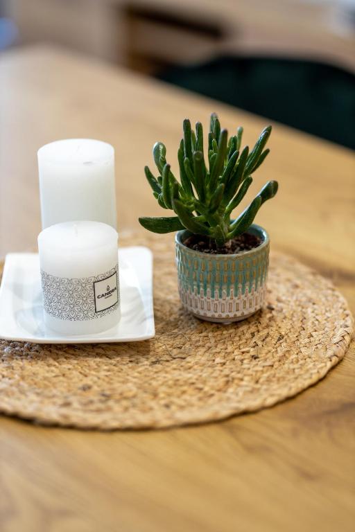 Apartamenty Termalne Dobry Klimat - 17