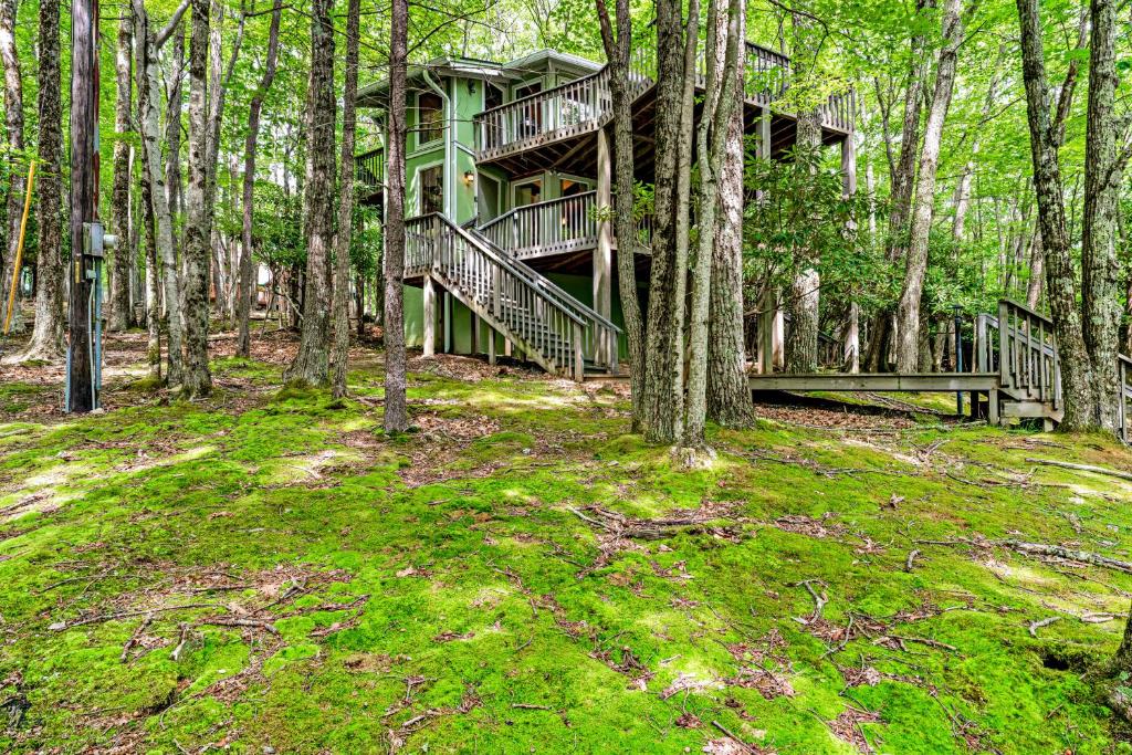 uma casa no meio de uma floresta com árvores em Teaberry Trail em Beech Mountain