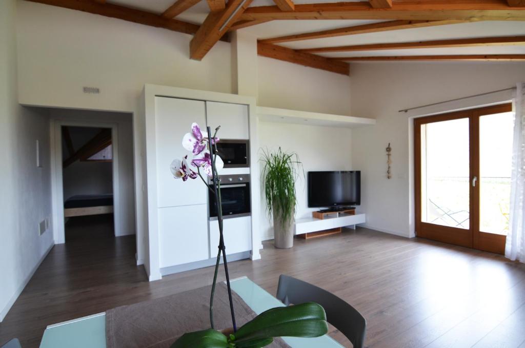 TV a/nebo společenská místnost v ubytování Holiday home Danima