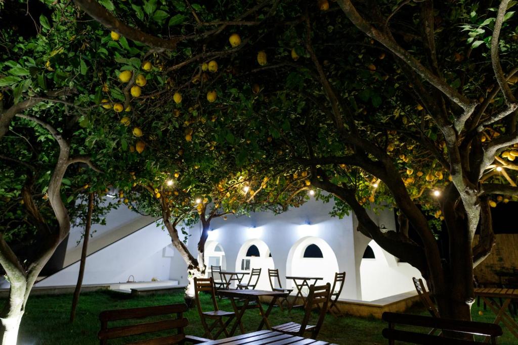 Zahrada ubytování La Casa sul Faro