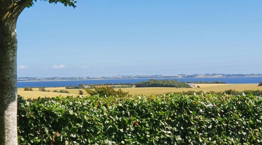 Airbnb-lejligheder, Villerslev - Chambre Familiale Avec Terrasse