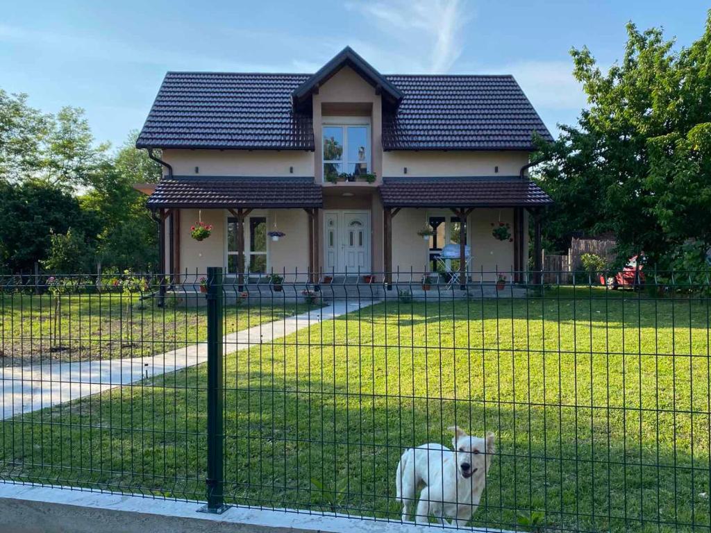Domácí mazlíčci ubytovaní s hosty v ubytování Kod čika brke