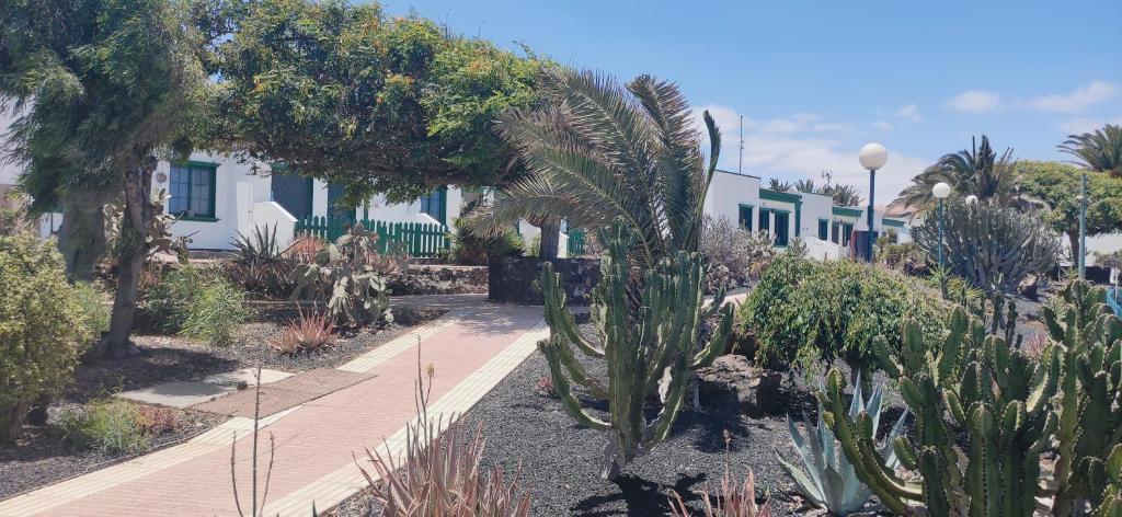 Fotografia z galérie ubytovania CASA ALICE COCOSOL v destinácii Costa de Antigua